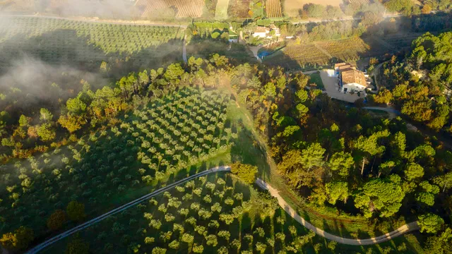 Moulin à huile d'olive & Domaine Bastide du Laval