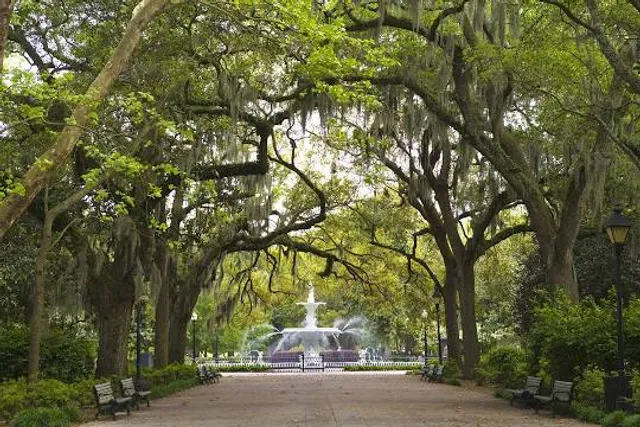 Forsyth Park