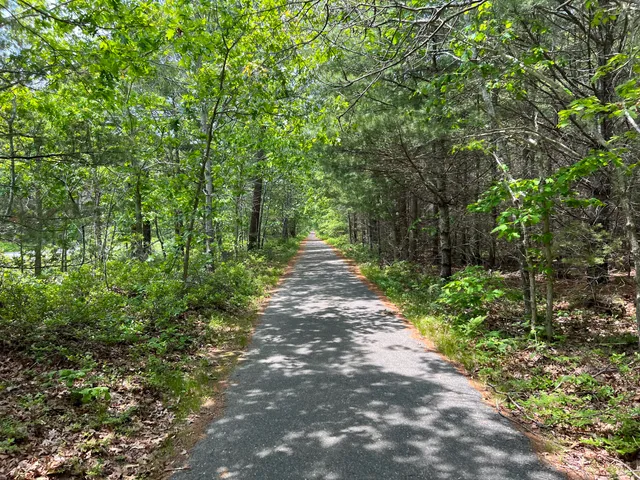 Manuel F. Correllus State Forest