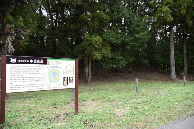 photo-1