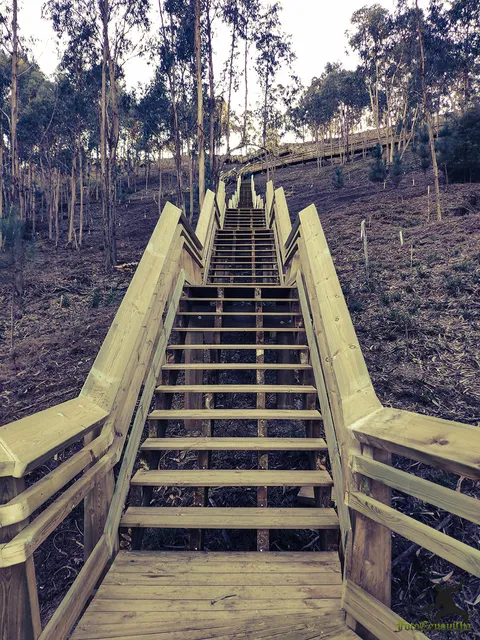Escadaria Cuca Macuca