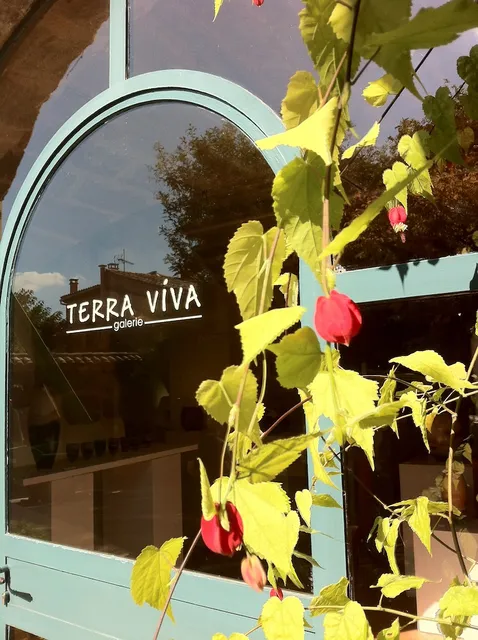 Galerie Terra Viva