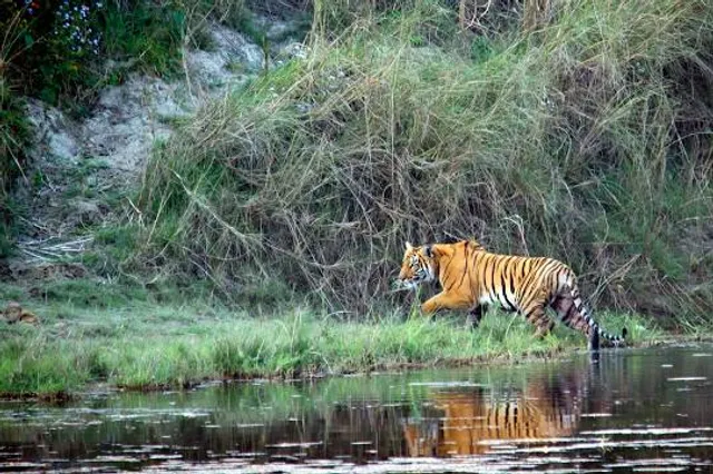 Shuklaphanta National Park