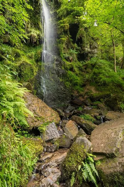 Mallyan Spout Waterfall