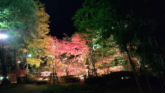 Akasakayama Park