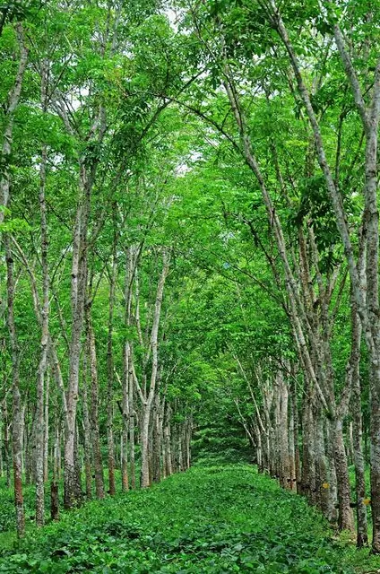 Glanmore National Historic Site