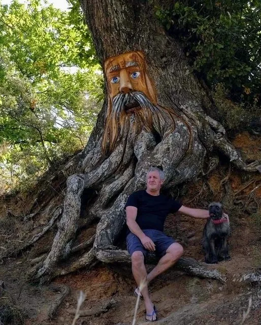 El Bosque Encantado de Parauta