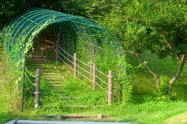 zoológico los angeles