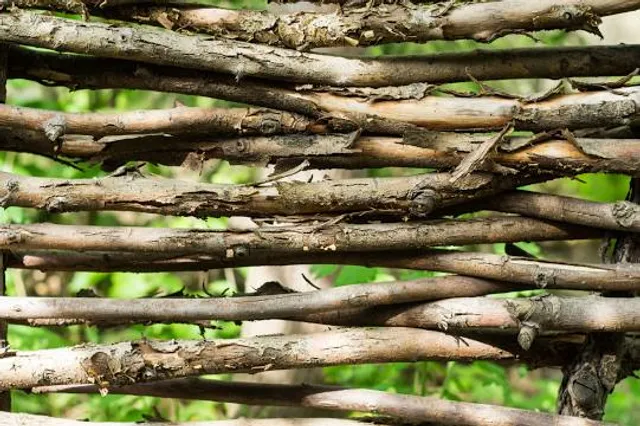 Wildgehege Leidenhausen