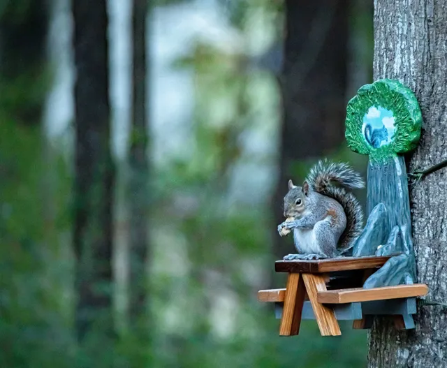 Visit Henry County, GA