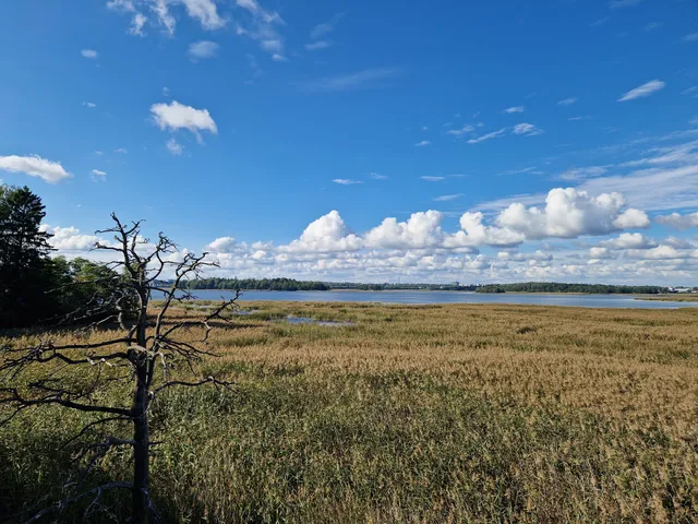 Kivinokka Birdwatching Platform