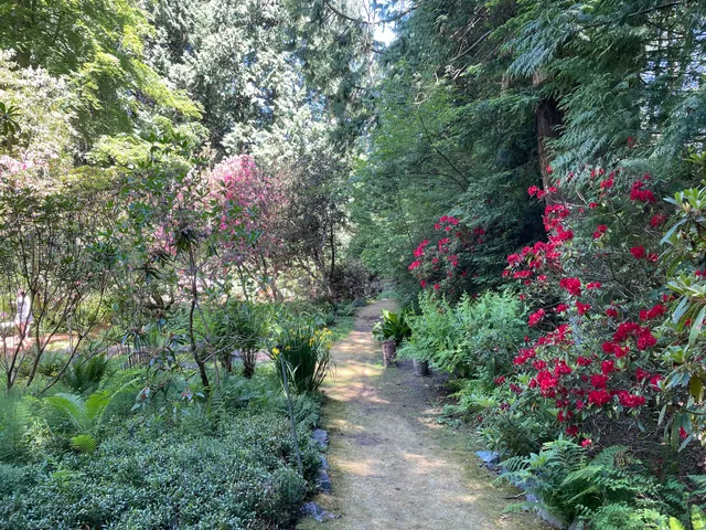 The Glades Woodland Garden