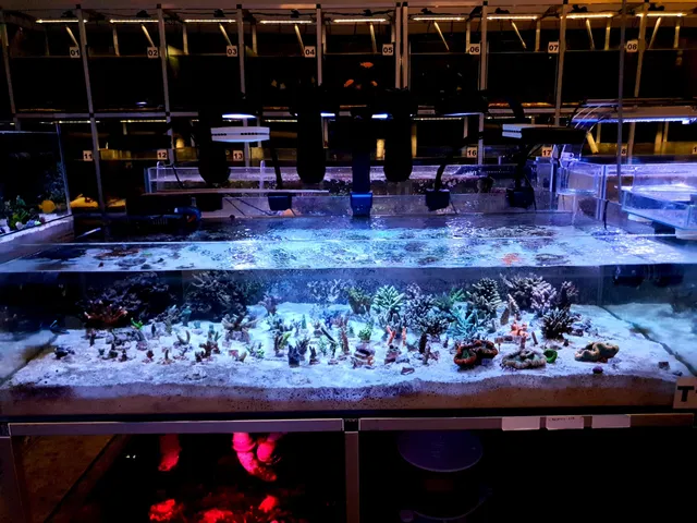 photo-1