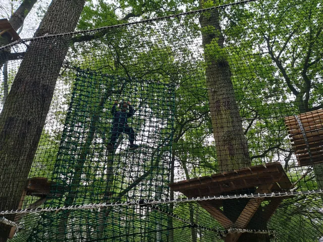 Parcours Aventure Branches & Loisirs