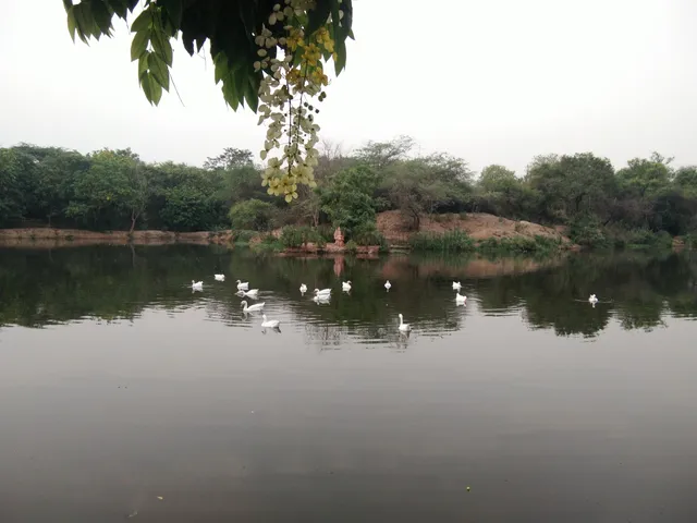 Sanjay Van Lake