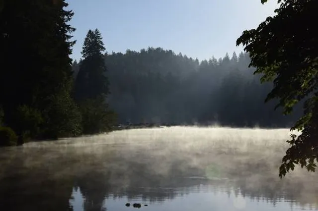 Lake Sylvia State Park
