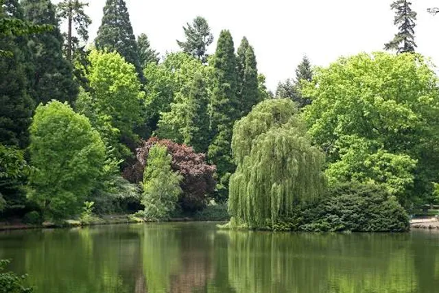 Laurelhurst Park
