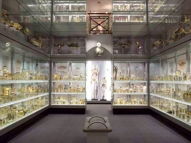 Hunterian Museum