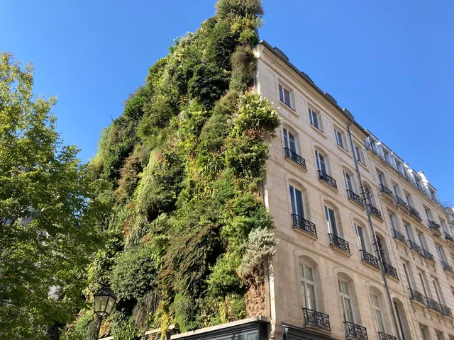 Oasis d'Aboukir