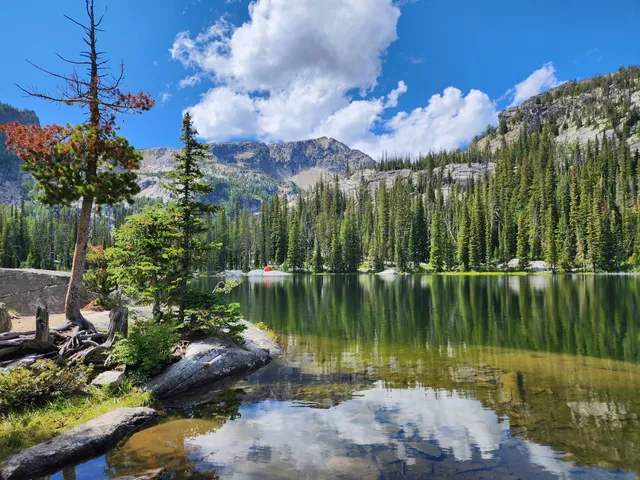 Selway-Bitterroot Wilderness