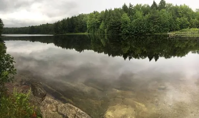 Gale Meadows Pond