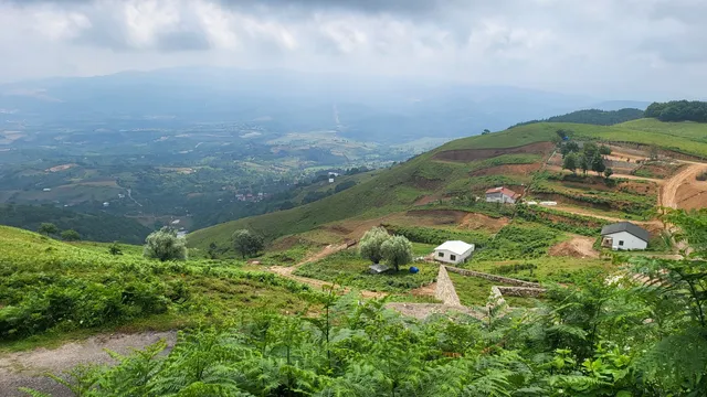 Mound Hill Picnic Area