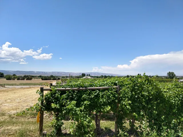 Whitewater Hill Vineyards