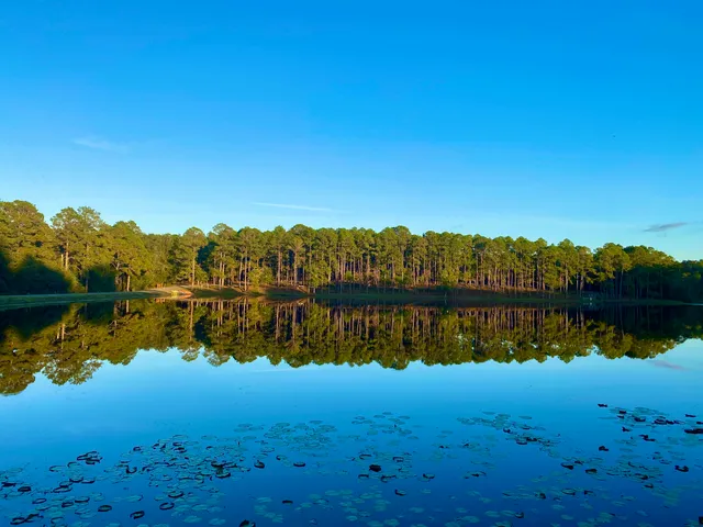 Jack Hill State Park