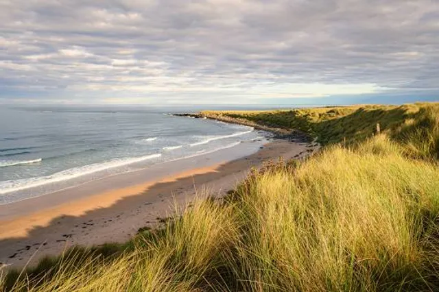 Beadnell Bay Beach