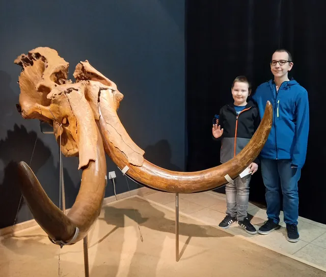 Brod Regional Museum