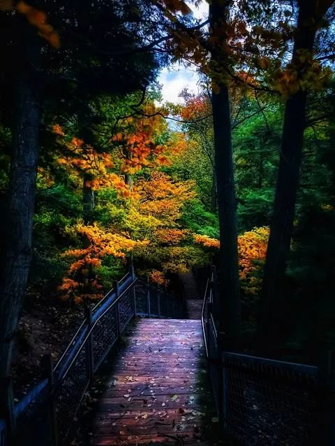 Rosy Mound Natural Area