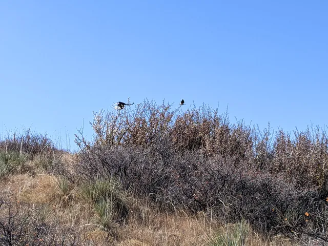 Bluffs Regional Park Trail