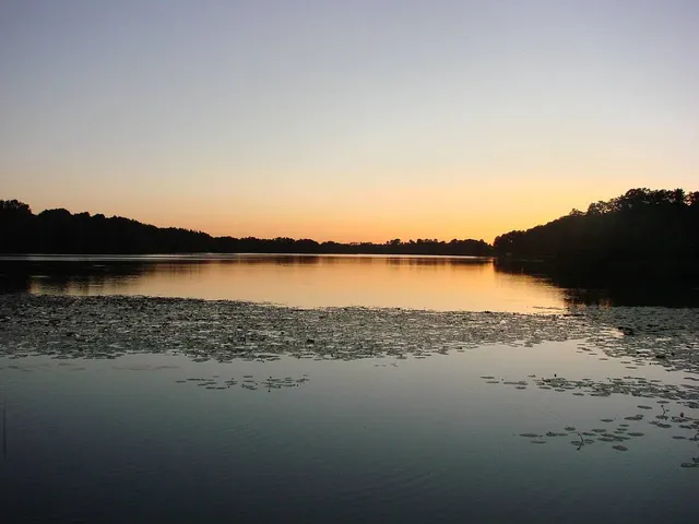 Jezioro Sępoleńskie