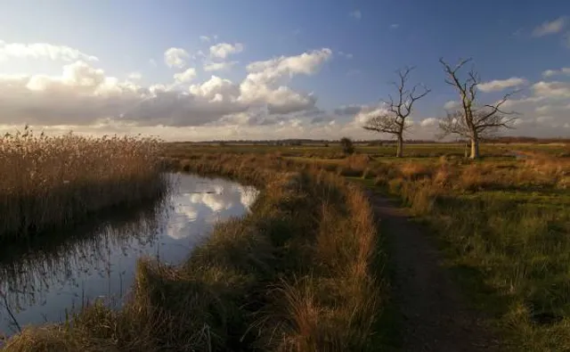 Carlton & Oulton Marshes