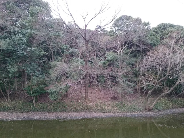 photo-2