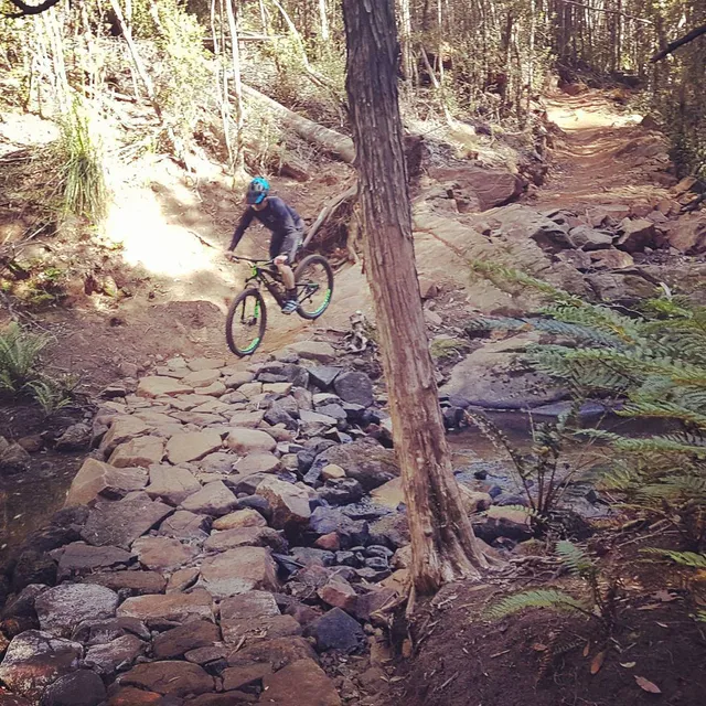 Hollybank Mountain Bike Park