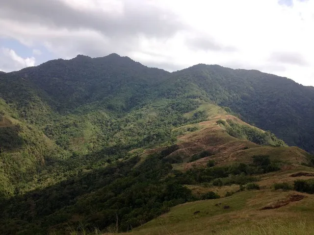 photo-2
