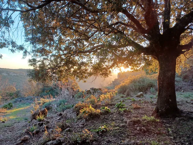Ecomuseo dell'Alto Flumendosa