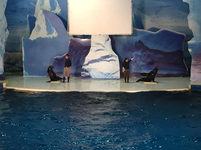 Shanghai Changfeng Ocean World