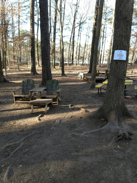Carolina Pines Dog Park