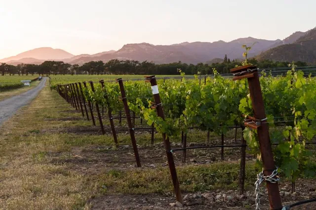 Spring Mountain Vineyard