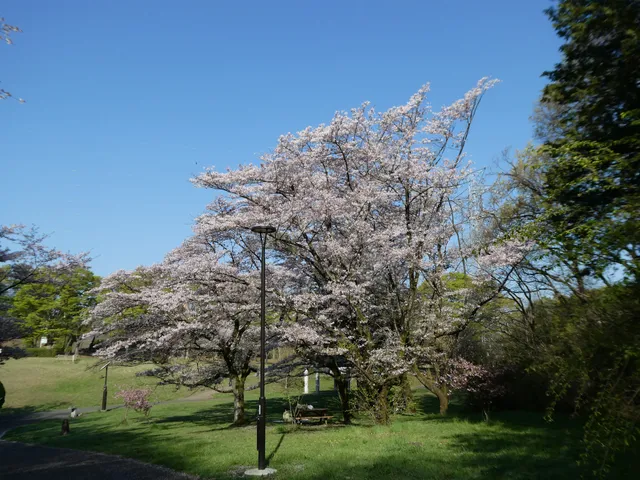 Sakuragaoka Park