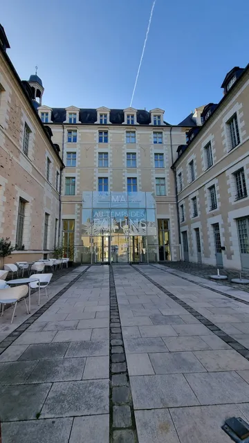 Musée des Beaux-Arts