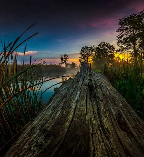 J F Gregory City Park