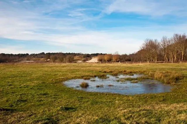 Naturschutzgebiet Oranjezon
