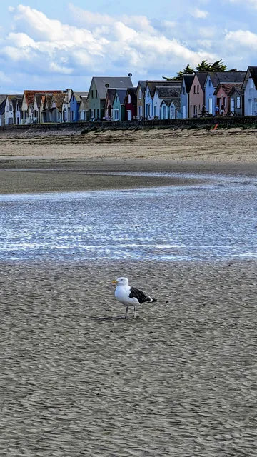 Plage de Ravenoville