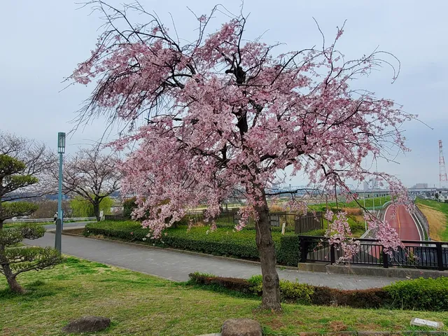 Shibamata Park