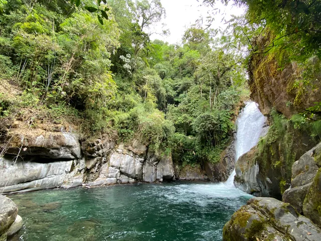 Cloudbridge Nature Reserve