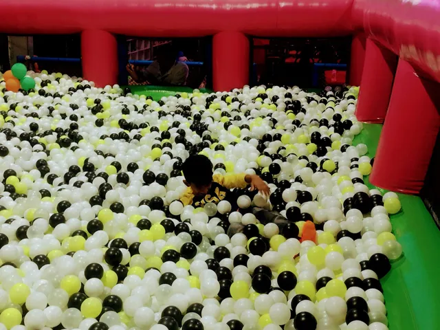 Flying Rabbit Trampoline & Adventure Park