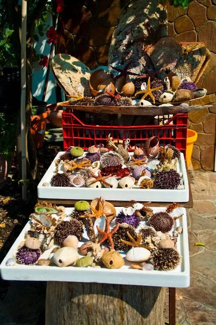 Plopsa Indoor Coevorden